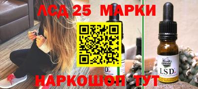 мдпв Гусев