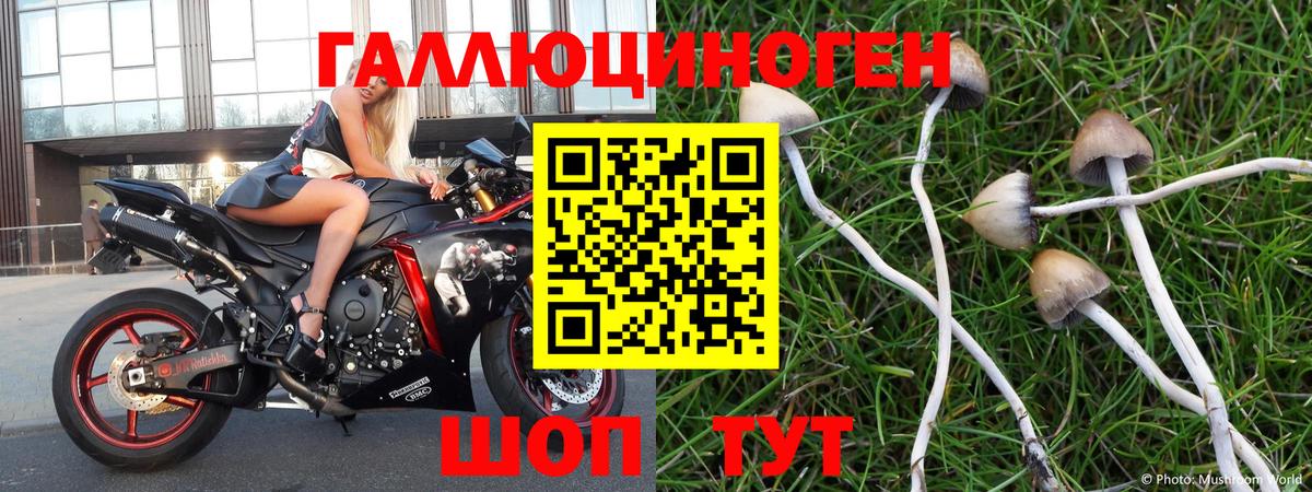 Надым  Галлюциногенные грибы Psilocybe  Галлюциногенные грибы Cubensis  Вход с VPN 