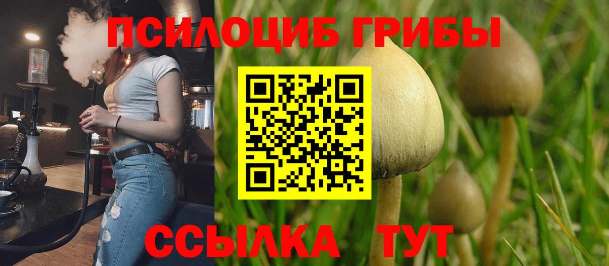 Галлюциногенные грибы Cubensis Надым